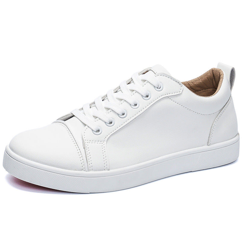 THE CLASSIC SWADIF TRAINER